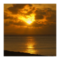 Ocean Sunset HD Live Wallpaper