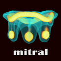 ViV Mitral