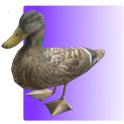 Feed the Duck 3D
