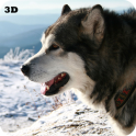 Husky 3D Live Wallpaper FREE