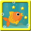GoldFish dive adventures