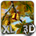 Autumn Leaves in HD Gyro 3D XL Parallax Wallpaper