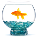 AquariumDiary
