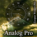 Analog Pro