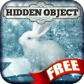 Hidden Object