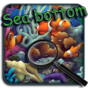 Sea bottom. Hidden Objects
