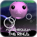 Fly Through The Rings