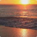 Sunset Beach Live Wallpaper HD