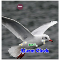 Bird Alarm