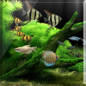 Lucky Fish Tank LiveWallpaper