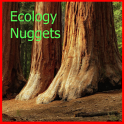 Ecology Nuggets