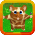 hamster course 3D