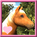 Mi Pony: Poco Adventure Farm