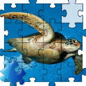 Turtle Jigsaw Puzzle