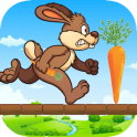 Bunny run 2