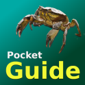 Pocket Guide UK Sea Fish Bait