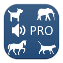 Animal Sounds + Game PRO