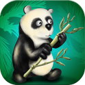 Panda Sprünge für Bambus