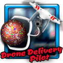 Drone Delivery Pilot