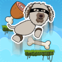 Happy Dog Jump - chien sauter