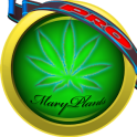 Mary Plants - PRO