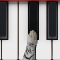 פסנתר חתולים