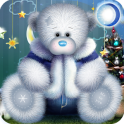 Christmas & Winter Teddy
