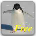 ペンギンがいっぱい！Free