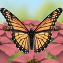 Beautiful Butterflies LWP FREE