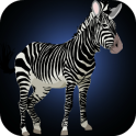 Zebra Games for Kids