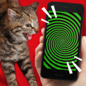 Tease Cat! Hypnosis simulator