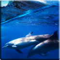 Delfines Fondos animados