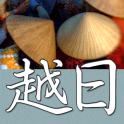 CJKI Vietnamese-Japanese Dict.