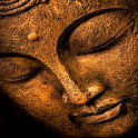 Sang Buddha Pelindungku