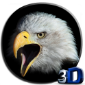 Adler 3D Live-Hintergründe