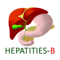 Hepatitis B virus information
