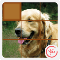 Puzzle Pet Dog