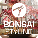 Bonsai Styling