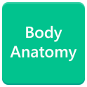 Human Body Anatomy 101