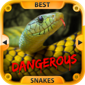 Meilleures serpents dangereux