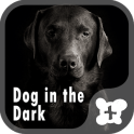 Обои и иконки Dog in the Dark