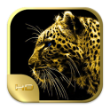 Golden Leopard Wallpaper HD of wild Leopards