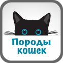 Породы кошек Энциклопедия