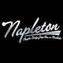 Napleton Northlake