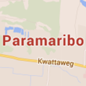 Paramaribo City Guide