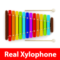 Real Xylophone Play