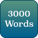 English - 3000 words