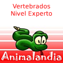 Animalandia Vertebrados Exp