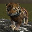 Tiger Cub réel Simulator
