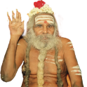 SrilaSri Vellaiyananda Swami